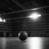 HARZBEAUFTRAGTER - Onlineshop für Handball